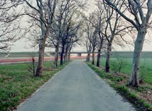 Richard Rocholl, Fotografie  aus der Serie Autoland